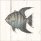 Fish Sketches Ii Shiplap Poster Print by Wild Apple Portfolio - Item # VARPDX36262